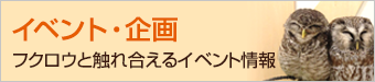 イベント・企画